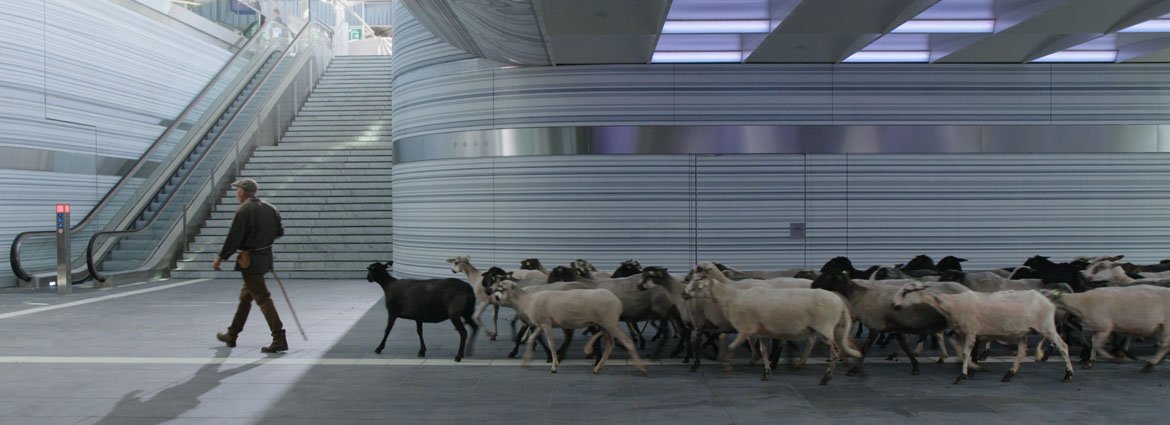 Portal still-Hertog Nadler en Ram Katzir_5