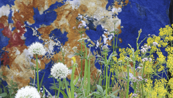 Een bijzondere verfplantentuin tijdens Leeuwarden-Fryslân 2018