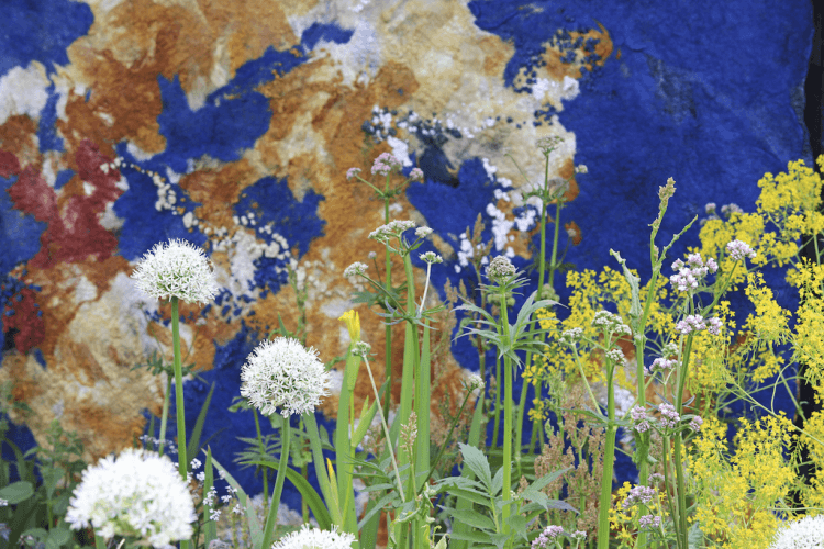 Een bijzondere verfplantentuin tijdens Leeuwarden-Fryslân 2018